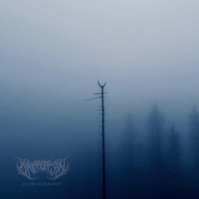 Briars of Sin - Putrascension (2025, EP)