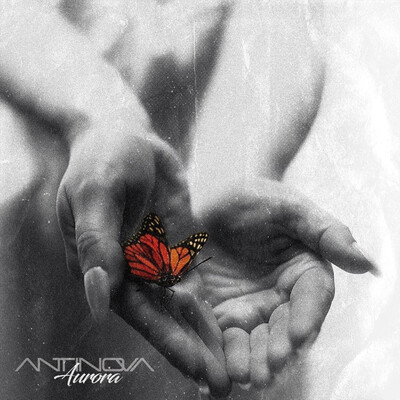 Antinova - Aurora (2026)
