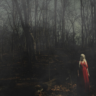 156/Silence - From A Distance (2026)