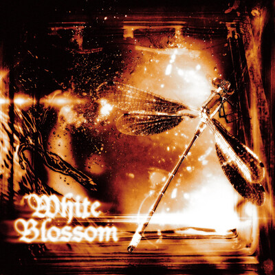 Whiteblossom - Whiteblossom (2026, EP)