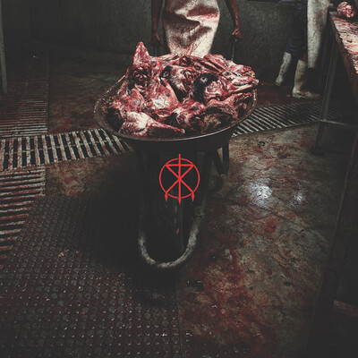 To The Grave - Liberation Front (2026)